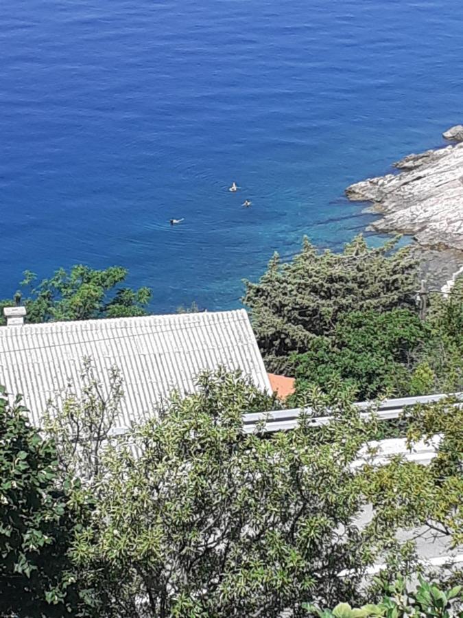 Room Domo Senj  Exterior foto